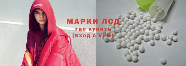 стаф Каменка