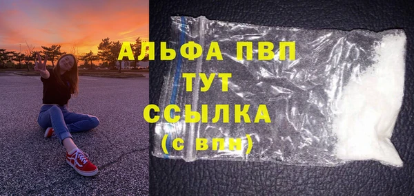 стаф Каменка