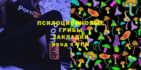 гидропоника Козловка