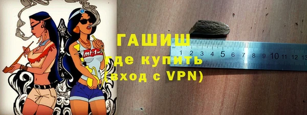 стаф Каменка