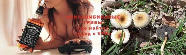 стаф Каменка