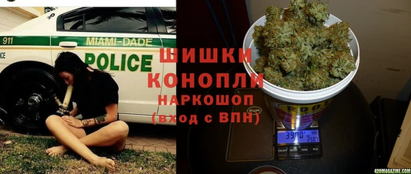 стаф Каменка