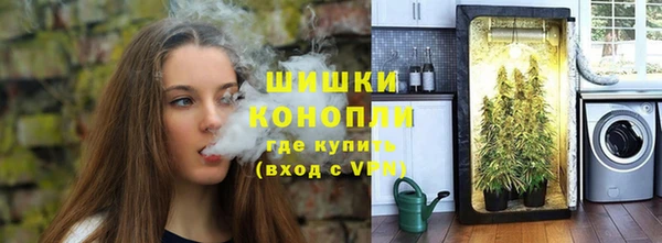 дживик Инсар