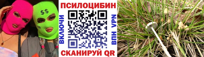 Галлюциногенные грибы прущие грибы Волжский