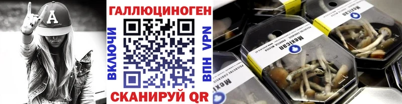 Галлюциногенные грибы MAGIC MUSHROOMS blacksprut зеркало нарко площадка наркотические препараты Волжский
